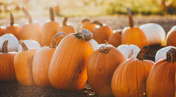 Pumpkin Spice Smoothie Benefits: Not just a tasty trend!