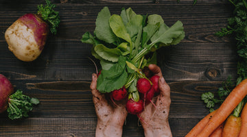 Dirt covered hands holding radishes surrounded by other fresh vegetables.