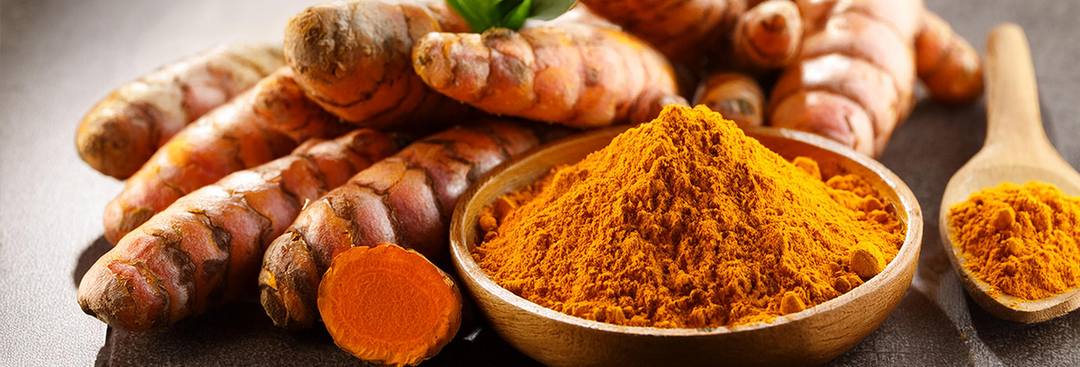 Turmeric Pulp Blog – Pulp & Press Canada Inc.